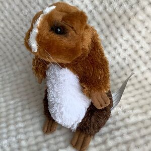 APPLAUSE Blockbuster Plush Mascot Ray Munchies Guinea Pig Stuffed Animal Toy